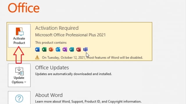 Free product key for Microsoft Office Professional Plus 2021